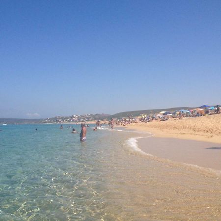 Sardegna-Ferienwohnung Mit Emotionale Meeres Blick Torre dei Corsari Ngoại thất bức ảnh